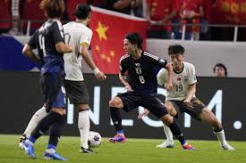 他们在国内